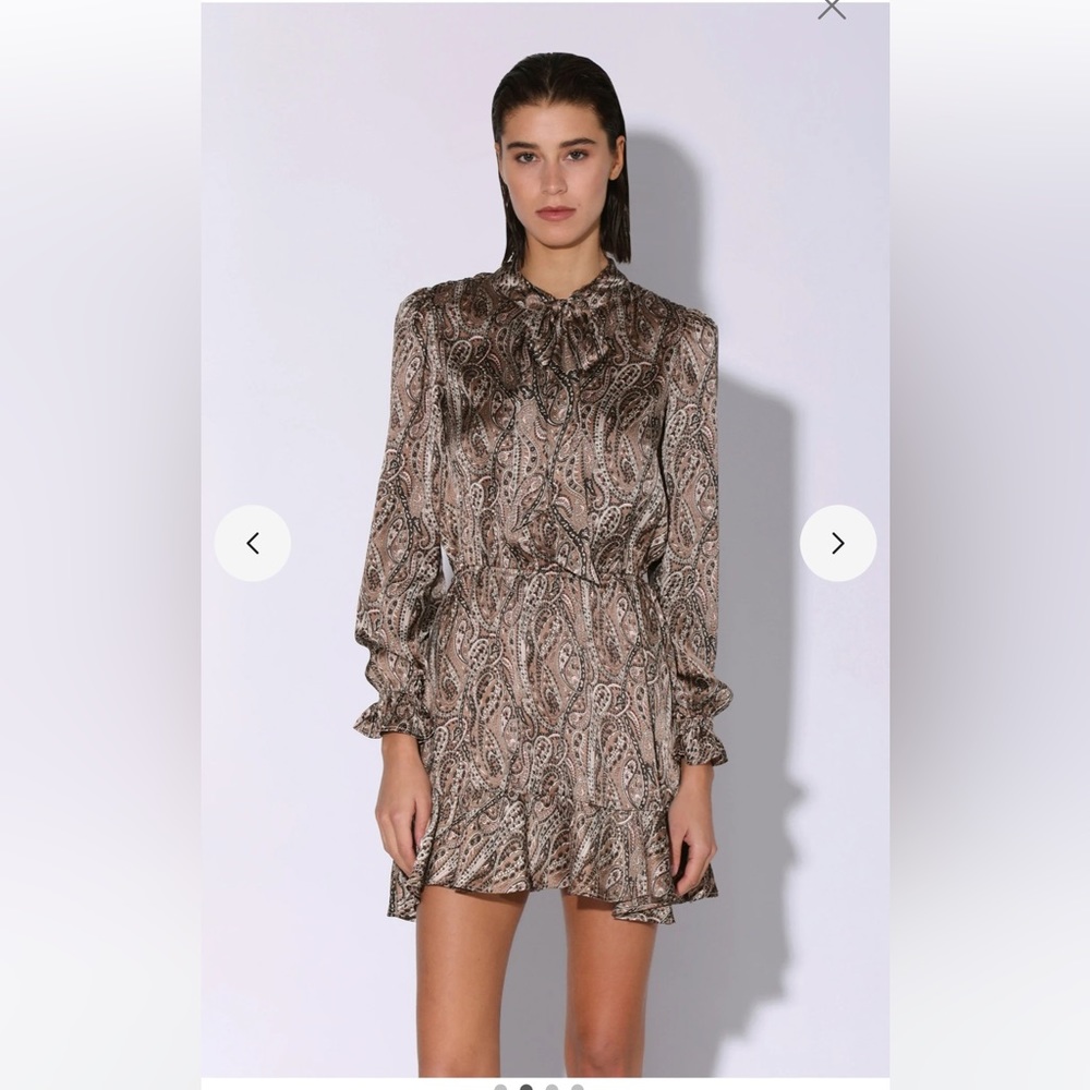 Walter Baker Larana dress in L